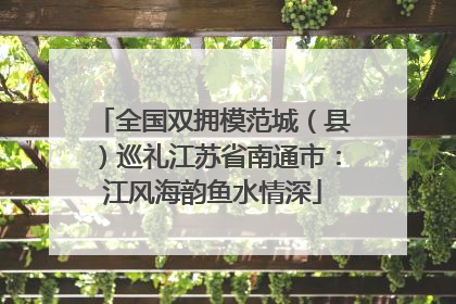 全国双拥模范城（县）巡礼江苏省南通市：江风海韵鱼水情深