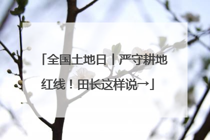 全国土地日丨严守耕地红线！田长这样说→