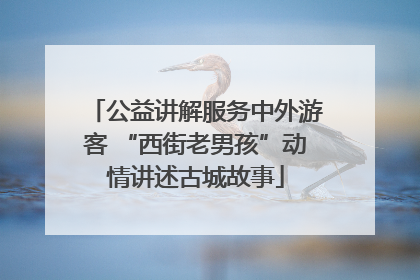 公益讲解服务中外游客 “西街老男孩”动情讲述古城故事