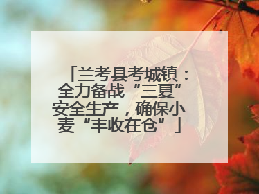 兰考县考城镇：全力备战“三夏”安全生产，确保小麦“丰收在仓”