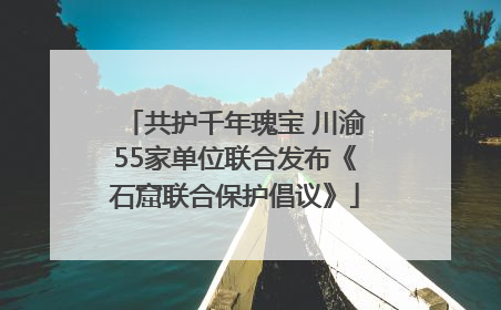 共护千年瑰宝 川渝55家单位联合发布《石窟联合保护倡议》