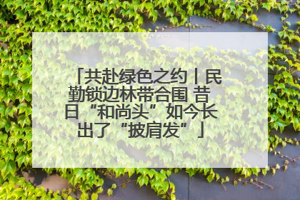共赴绿色之约丨民勤锁边林带合围 昔日“和尚头”如今长出了“披肩发”