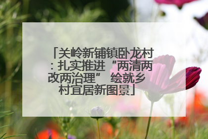 关岭新铺镇卧龙村：扎实推进“两清两改两治理” 绘就乡村宜居新图景