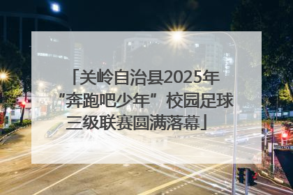 关岭自治县2025年“奔跑吧少年”校园足球三级联赛圆满落幕