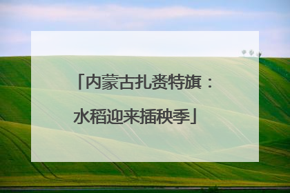 内蒙古扎赉特旗：水稻迎来插秧季