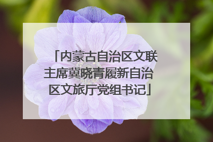 内蒙古自治区文联主席冀晓青履新自治区文旅厅党组书记