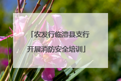 农发行临澧县支行开展消防安全培训