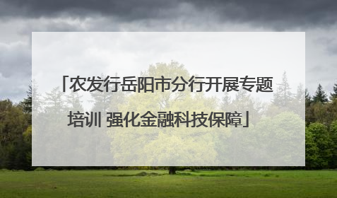 农发行岳阳市分行开展专题培训 强化金融科技保障