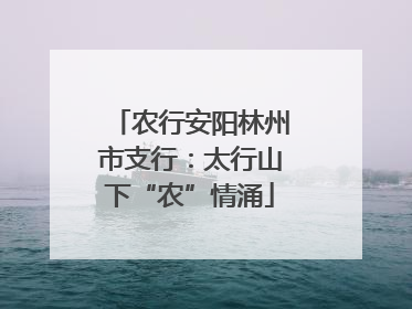 农行安阳林州市支行：太行山下“农”情涌