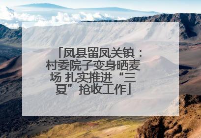 凤县留凤关镇：村委院子变身晒麦场 扎实推进“三夏”抢收工作
