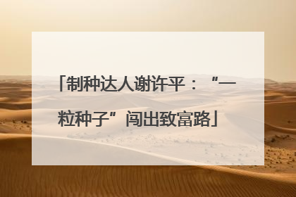 制种达人谢许平：“一粒种子”闯出致富路