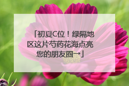 初夏C位！绿隔地区这片芍药花海点亮您的朋友圈→