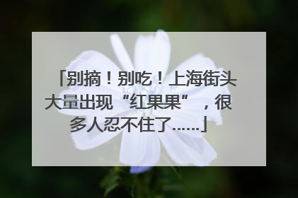 别摘！别吃！上海街头大量出现“红果果”，很多人忍不住了……