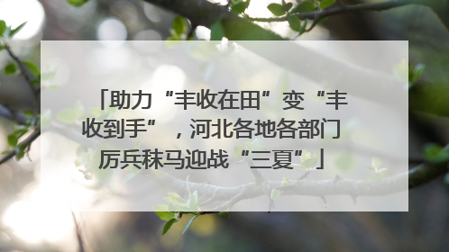 助力“丰收在田”变“丰收到手”，河北各地各部门厉兵秣马迎战“三夏”