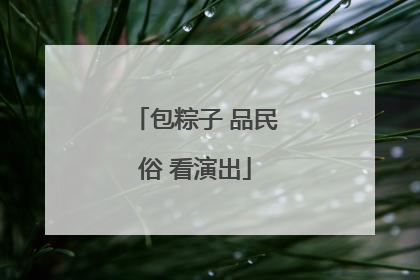 包粽子 品民俗 看演出