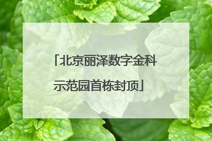 北京丽泽数字金科示范园首栋封顶
