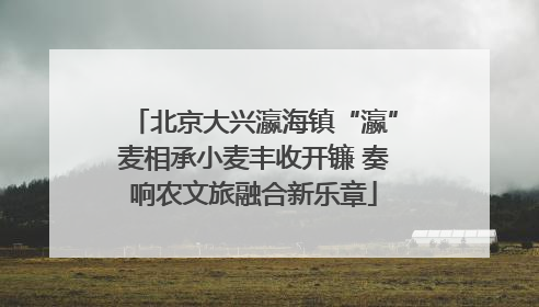 北京大兴瀛海镇“瀛”麦相承小麦丰收开镰 奏响农文旅融合新乐章