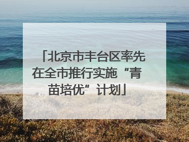 北京市丰台区率先在全市推行实施“青苗培优”计划