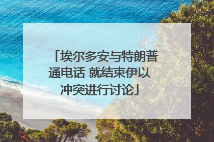 埃尔多安与特朗普通电话 就结束伊以冲突进行讨论