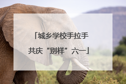 城乡学校手拉手 共庆“别样”六一