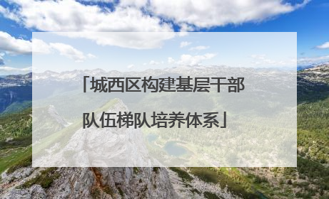 城西区构建基层干部队伍梯队培养体系
