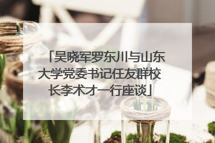 吴晓军罗东川与山东大学党委书记任友群校长李术才一行座谈