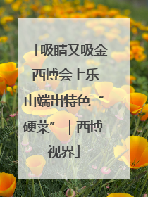吸睛又吸金 西博会上乐山端出特色“硬菜”｜西博视界