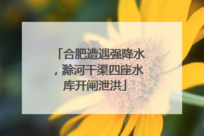 合肥遭遇强降水，滁河干渠四座水库开闸泄洪