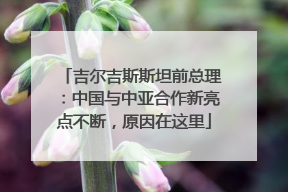 吉尔吉斯斯坦前总理：中国与中亚合作新亮点不断，原因在这里