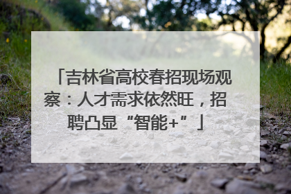 吉林省高校春招现场观察：人才需求依然旺，招聘凸显“智能+”