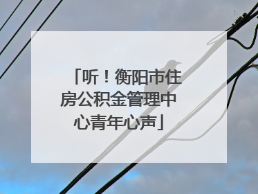 听！衡阳市住房公积金管理中心青年心声