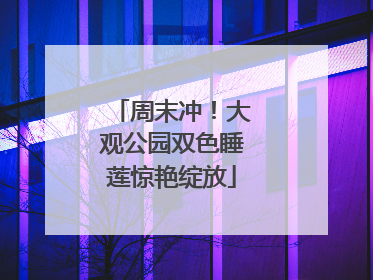 周末冲！大观公园双色睡莲惊艳绽放