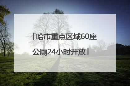 哈市重点区域60座公厕24小时开放