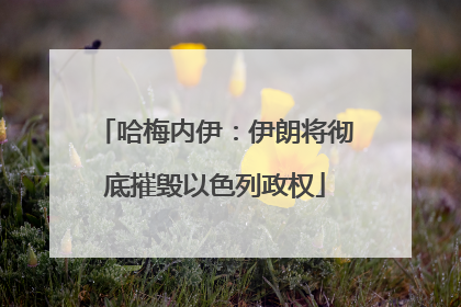 哈梅内伊：伊朗将彻底摧毁以色列政权