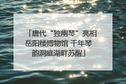 唐代“独幽琴”亮相岳阳楼博物馆 千年琴韵洞庭湖畔苏醒