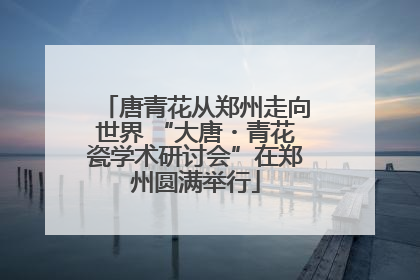 唐青花从郑州走向世界 “大唐・青花瓷学术研讨会”在郑州圆满举行