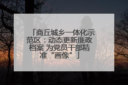 商丘城乡一体化示范区：动态更新廉政档案 为党员干部精准“画像”
