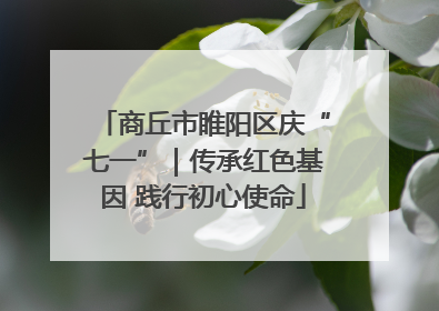 商丘市睢阳区庆“七一”｜传承红色基因 践行初心使命