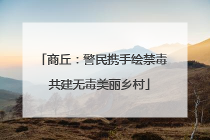 商丘：警民携手绘禁毒 共建无毒美丽乡村