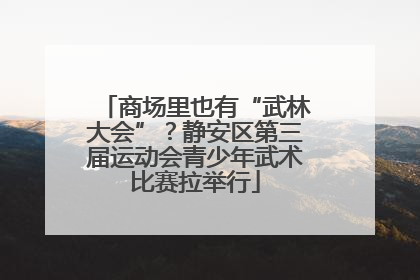 商场里也有“武林大会”？静安区第三届运动会青少年武术比赛拉举行
