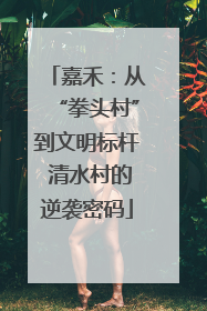 嘉禾：从“拳头村”到文明标杆 清水村的逆袭密码