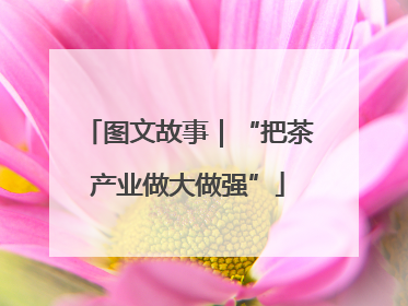 图文故事｜“把茶产业做大做强”