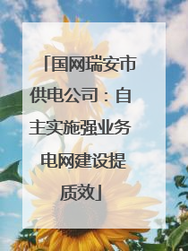 国网瑞安市供电公司：自主实施强业务 电网建设提质效