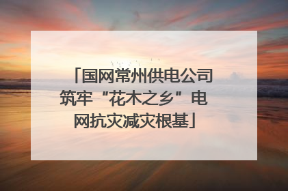 国网常州供电公司筑牢“花木之乡”电网抗灾减灾根基