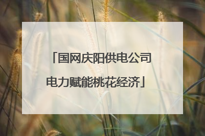 国网庆阳供电公司电力赋能桃花经济