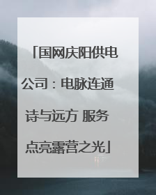 国网庆阳供电公司：电脉连通诗与远方 服务点亮露营之光