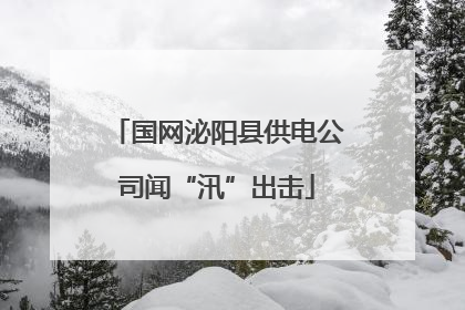 国网泌阳县供电公司闻“汛”出击