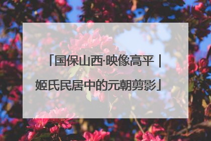 国保山西·映像高平｜姬氏民居中的元朝剪影