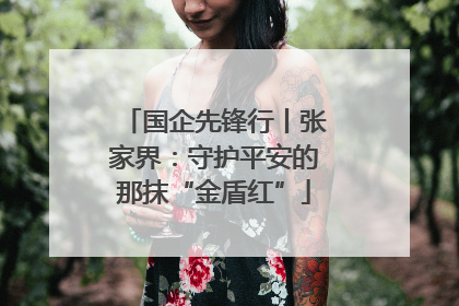 国企先锋行丨张家界：守护平安的那抹“金盾红”