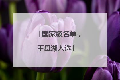 国家级名单，王母湖入选
